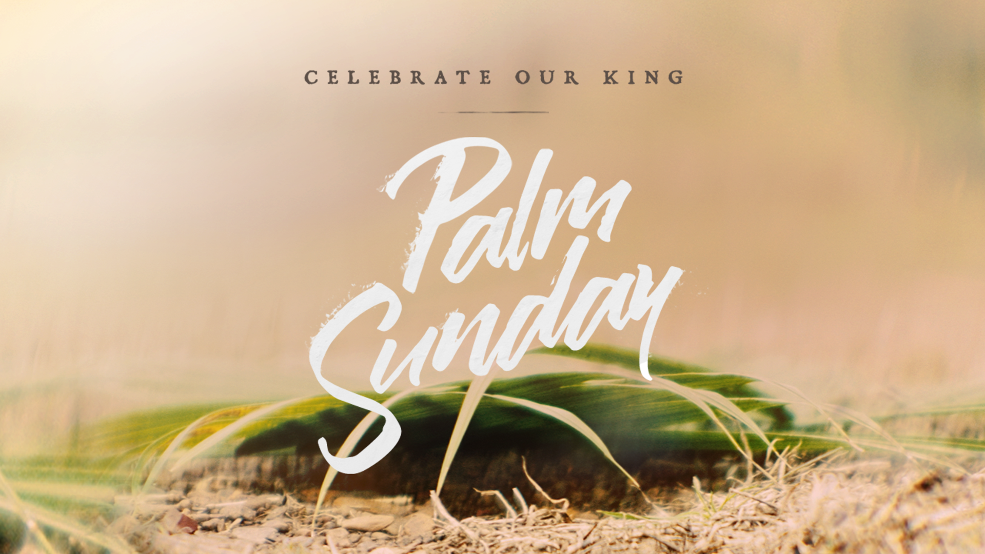 Palm Sunday